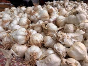 Sursă foto: FB Ministerul Agriculturii