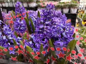 Sursă foto: FB Ministerul Agriculturii