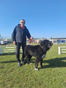 652416551 1247643944219617 6150653142104811129 n - Expoziția Chinologică Multirasă de la Costești s-a încheiat cu succes!