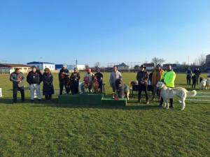 652464026 1247644024219609 5351204554638748171 n - Expoziția Chinologică Multirasă de la Costești s-a încheiat cu succes!