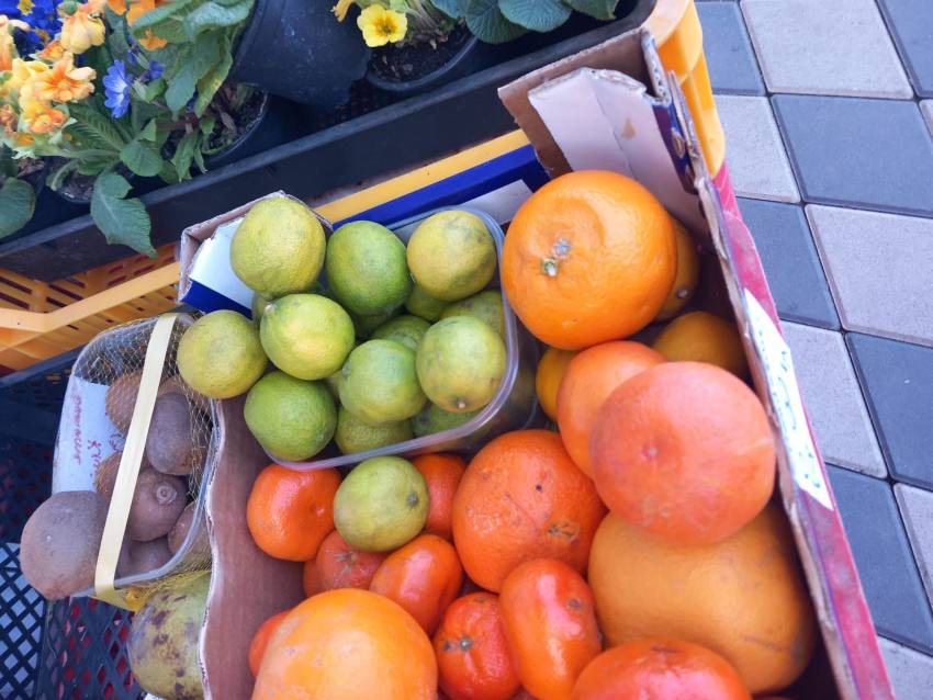 Colaj Ancheta/ Foto Facebook ANPC