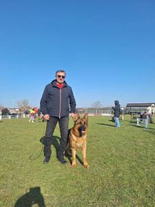 653700227 1247644354219576 4129610305797825689 n - Expoziția Chinologică Multirasă de la Costești s-a încheiat cu succes!