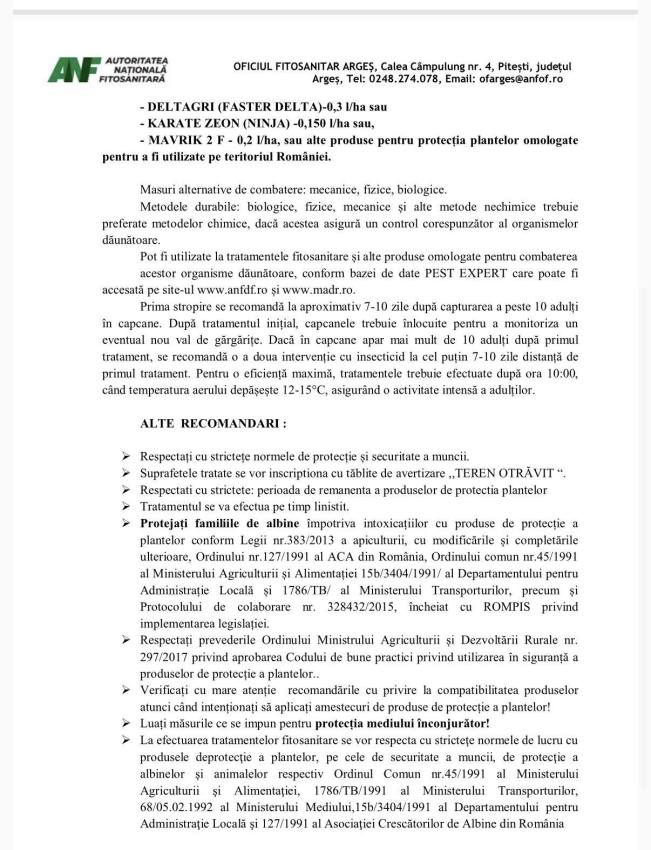 Topoloveni. Sfaturi pentru prevenirea și combaterea gărgăriței tulpinilor de rapiță 2 653832931 906916155308747 5172340826499231875 n - Topoloveni. Sfaturi pentru prevenirea și combaterea gărgăriței tulpinilor de rapiță