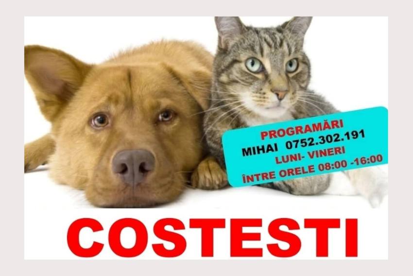 la Costești la Costești