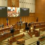 Sursă foto: screenshot FB Parlamentul Romaniei - Camera Deputatilor.