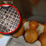 Magazinele din România, prinse pe picior greșit. Nereguli grave găsite de ANPC 10 controale ANPC