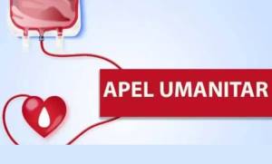 Sursă foto: FB Servicii Edilitare pentru Comunitate Mioveni