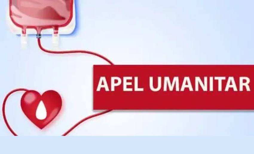 Sursă foto: FB Servicii Edilitare pentru Comunitate Mioveni