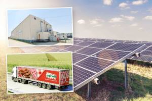 caroli panouri fotovoltaice