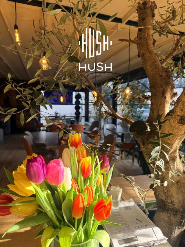 Hush Pitesti