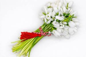 645292055 1384659800130126 2541002418415364987 n - Conducerea Spitalului Mioveni, mesaj la început de primăvară