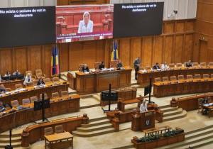 Sursă foto: FB ALina Gorghiu.