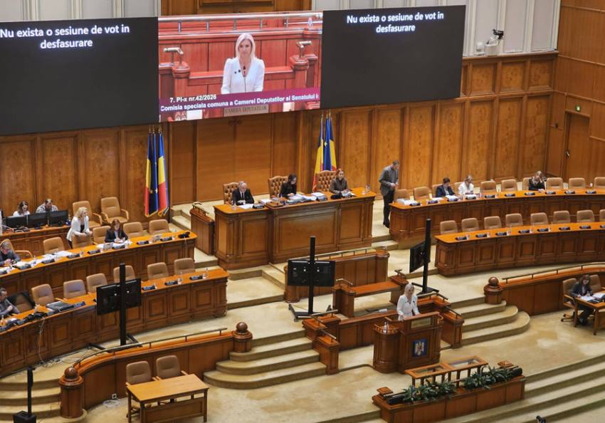 Sursă foto: FB ALina Gorghiu.