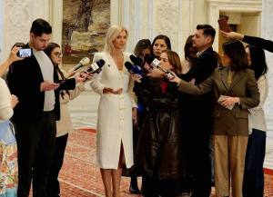 Sursă foto: FB ALina Gorghiu.