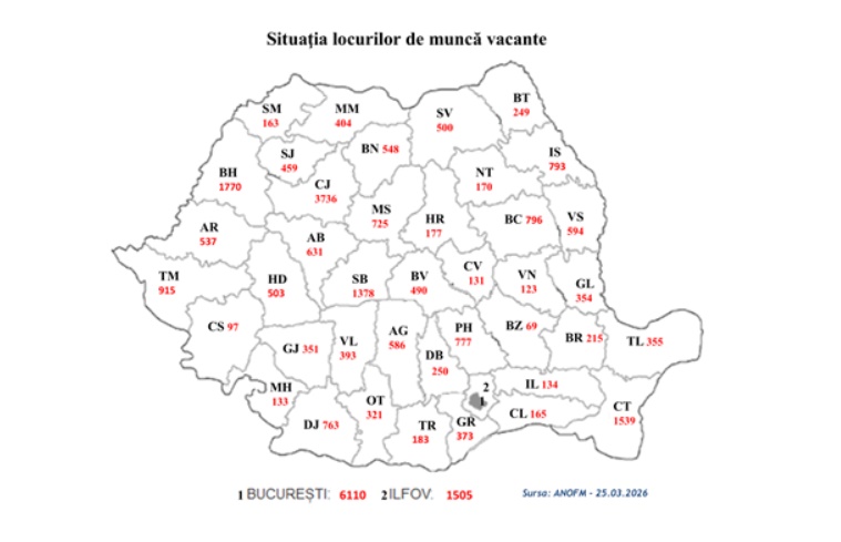 cats 1 - Locuri de muncă în România și în străinătate. Vezi ce posturi se caută