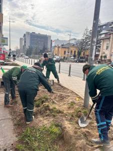Se transformă 3 spații verzi din Pitești! Ce se schimbă pe Bd. I.C. Brătianu și în Prundu? 1 Sursă foto: FB Cristian Gentea.