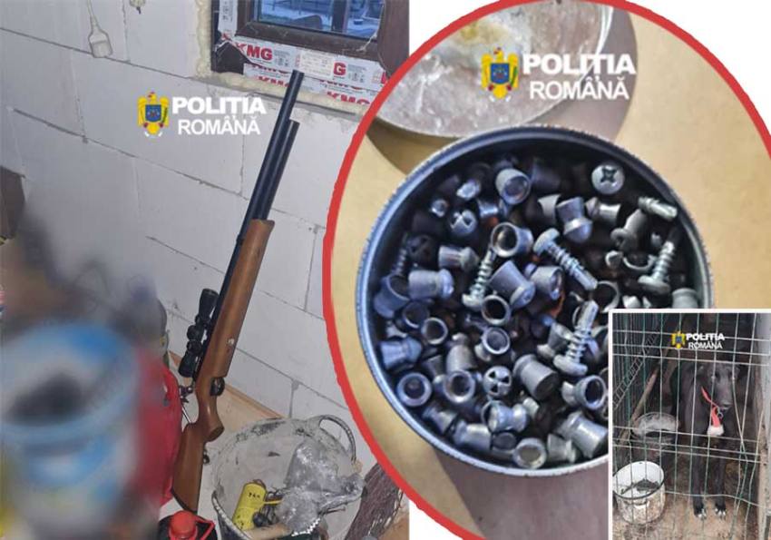 Sursă foto: IPJ Argeș.