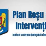 Sursă foto: FB IGSU