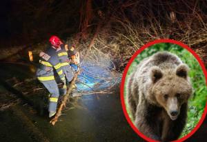 Sursă foto: Colaj Ancheta/ISU Argeș și Digi 24.