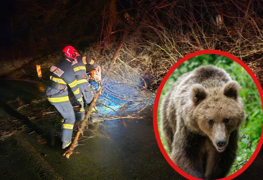 Sursă foto: Colaj Ancheta/ISU Argeș și Digi 24.