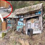 Sursă foto: screenshot filmare. Sursă video: MJ