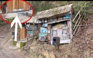 Sursă foto: screenshot filmare. Sursă video: MJ