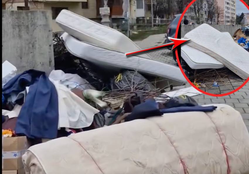 Sursă foto: screenshot FB Cristian Gentea. Sursă video: TikTok Cristian Gentea