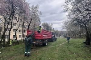 cartierul nord lucrari 2 - Cartierul Nord se transformă: spații verzi reamenajate și noi arbori plantați