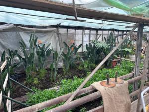 Sursă foto: Primăria Municipiului Pitești.