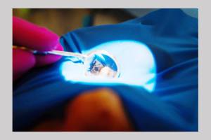 Untitled project 10 - Clinica Dr. Teo – MĂSEAUA DE MINTE