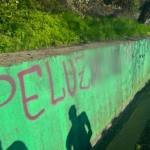 Untitled project 7 -