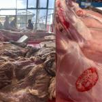 Sursă foto: Societatea Salpitflor Green S.A. 