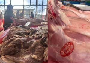 Sursă foto: Societatea Salpitflor Green S.A. 