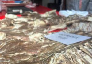 Sursă foto: Societatea Salpitflor Green S.A. 