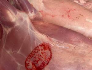 Sursă foto: Societatea Salpitflor Green S.A. 