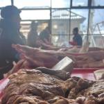 Sursă foto: Societatea Salpitflor Green S.A. 