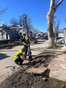 Sursă foto și video: FB Societatea Salpitflor Green S.A.