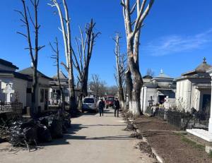 Sursă foto și video: FB Societatea Salpitflor Green S.A.