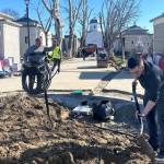 A început curățenia la Cimitirul ”Sfântul Gheorghe” 13 Sursă foto și video: FB Societatea Salpitflor Green S.A.