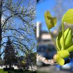 Sursă foto: FB Salpitflro Green SA