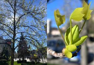 Sursă foto: FB Salpitflro Green SA
