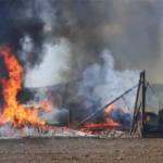 incendiu plante furajere