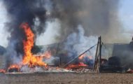 incendiu plante furajere