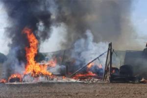 incendiu plante furajere