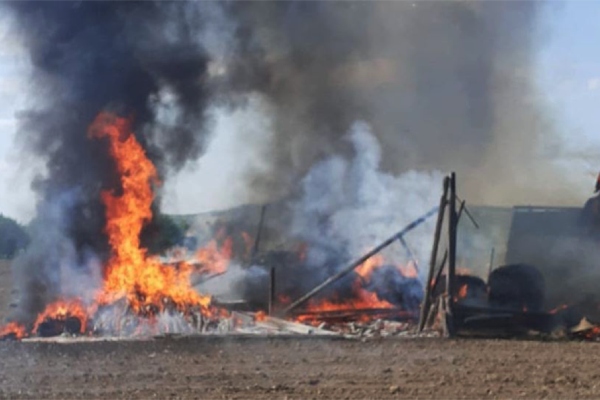 incendiu plante furajere