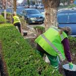 Sursă foto: FB Primaria Orasului Mioveni