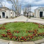 Sursă foto: FB Societatea Salpitflor Green S.A.