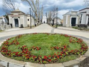 Sursă foto: FB Societatea Salpitflor Green S.A.