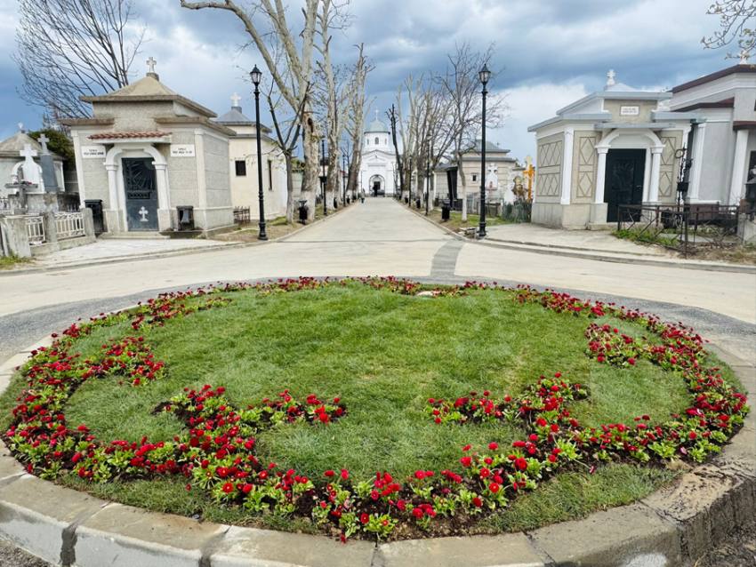 Sursă foto: FB Societatea Salpitflor Green S.A.