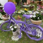 „Grădina mea – florile Piteștiului” revine la Simfonia Lalelelor! 26 Simfonia Lalelelor